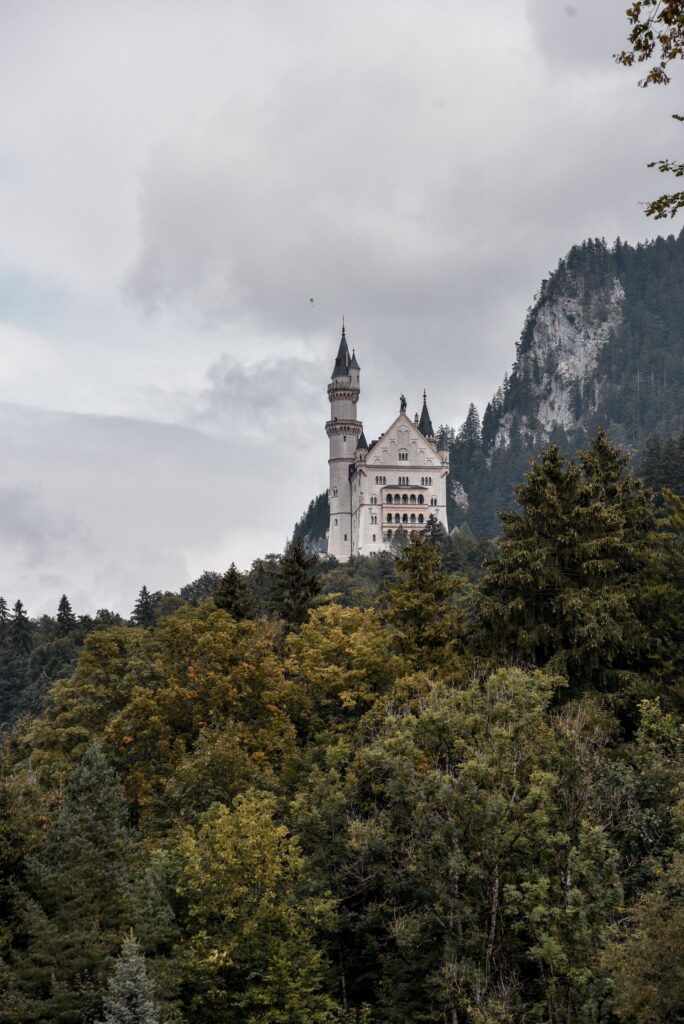 Ilustrační foto (Pexels)